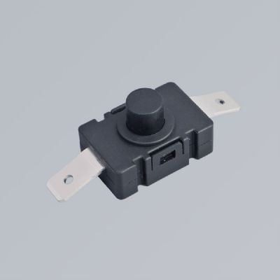Oil immersed transformer